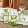 Estilo Ins Mini Jarrón Pequeño de Vidrio Decoración de Planta Verde Hidropónica Escritorio Transparente Flor Arreglo Adornos Jarrón suit