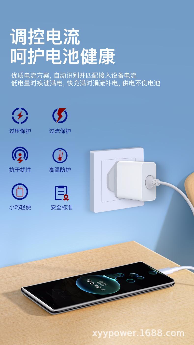 氮化镓PD65W可换头带线