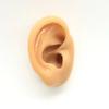 Simulação de silicone modelo de orelha ear picking ensino fone de ouvido audição stand stand prática acupuntura modelo joias display