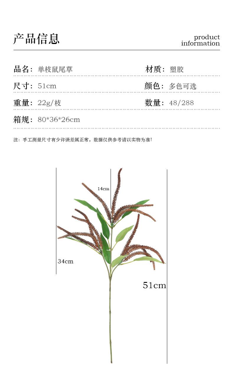 单枝鼠尾草_03.jpg