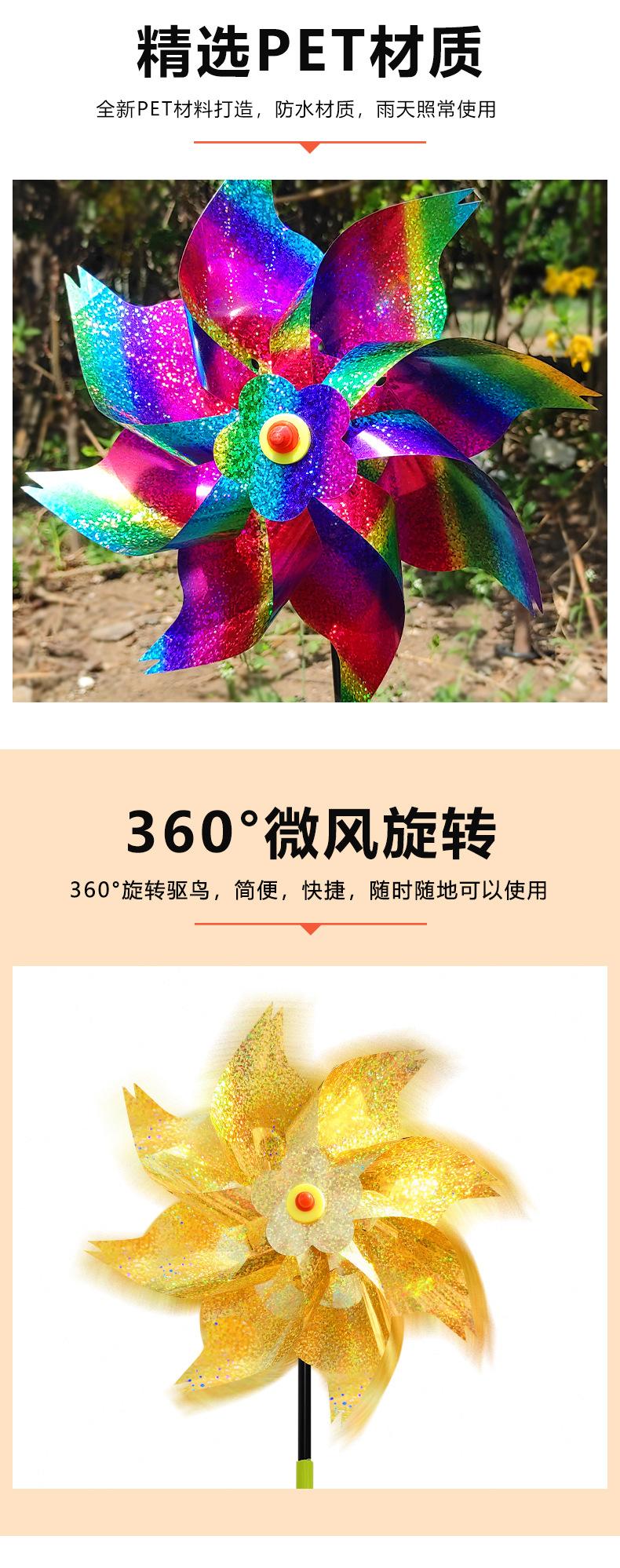 大八角 (4)