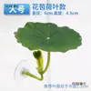 Hojas de Paisajismo para Acuario para Descansar y Dormir, Plantas Acuáticas Artificiales para Betta, Lecho de Puesta, Hoja de Loto, Escondite de Descanso para Betta