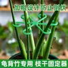 Soporte para Planta Monstera, Estructura para Agrupar Ramas, Base Antivuelco para Plantas Verdes, Soporte para Flores, Soporte Antivuelco para Plantas