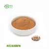 Saponina de Planta Euphorbia 0.8% Estándar Europeo Extracto en Stock del Fabricante con Alto Contenido de Ginseng Siberiano