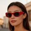 Gafas de Sol Estilo Ojo de Gato Europeas y Americanas para Hombres y Mujeres, Montura Pequeña Personalizada, Patillas Anchas, Gafas de Sol con Protección UV, Tendencia Marca Grande, Transfronterizo