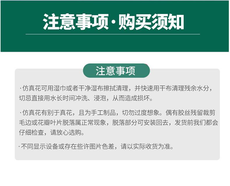 小石榴(2)(1)_11.jpg