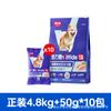 Remy Alta Vitalidad Tailandés Carne Fresca Precio Completo Alimento para Perro 1.6kg Alimento para Perro al Por Mayor Alimento para Cachorro Alimento para Perro Alimento Especial