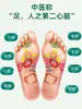 Parches para Pies Wu Zhu Yu, Parches Naturales de Hierbas de Ajenjo para Pies, Parches Herbales de Moxibustión para Pies, Parches para Puntos de Acupuntura de Pies, Parches de Ajenjo