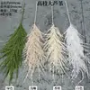 Fabricante de Cana Artificial Galho Alto Cana Grande Cana Branca Corredor de Casamento Decoração Suave para Casa Flores Artificiais Atacado