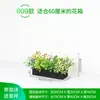 Paisagismo com Plantas Verdes, Jardineiras, Floreiras, Arranjos de Plantas Artificiais, Decorações de Divisórias, Decoração de Jardineira para Loja de Chá com Leite Restaurante