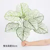 Simulación sensación de mano planta Hojas de Calathea Fanzhi manojo de raíces hojas falsas pared de restaurante jardín paisaje paisajismo arreglo floral plantas verdes