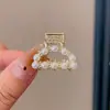 Pinza Sujetapelos Metálica para Cola de Caballo para Mujer, Pinza Pequeña de Pelo de Moda, Pinza para Cola de Caballo, Pasador Pequeño, Accesorio para el Cabello Pinza de Tiburón