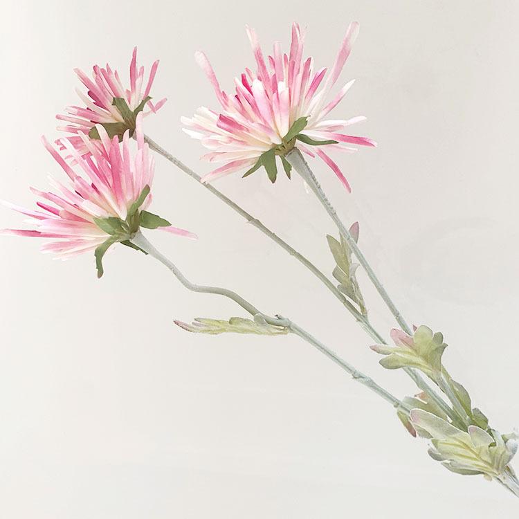 IMG_8030(20220721-111415)