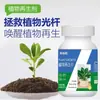 Tabletas de Regeneración de Plantas Solución Nutritiva Concentrada Plantas Verdes Cultivo General de Flores Plantas en Maceta Jardinería Casera Fertilizante Fertilizante Soluble en Agua
