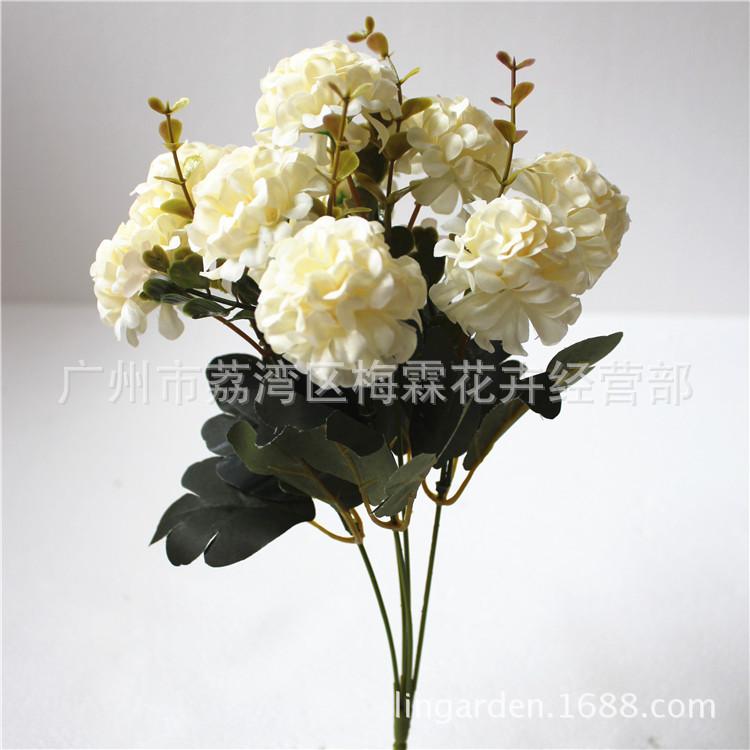 新小圆球花 750