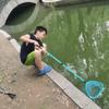 Redes de Pesca para Niños al por Mayor Redes para Capturar Libélulas Mariposas Insectos Redes de Pesca para Niños Redes de Pesca para Exteriores con Cañas Telescópicas Bolsas para Redes de Pesca