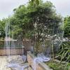 Malla para Pájaros de Jardín Transfronteriza, Malla Anti-Pájaros, Malla de Protección Anti-Pájaros para Uvas, Valla para Aves de Corral, Malla Anti-Caída para Gatos, Malla Transparente Repelente de Pájaros
