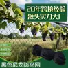 Rede Anti-Pássaros de Nylon Preto de Alta Resistência Rede de Proteção para Uvas de Pomar Rede Agrícola para Tanque de Aquacultura