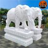 Escultura de Pedra Personalizada pelo Fabricante Escultura de Pedra Mármore Branco Ornamentos de Animais Portão Quadrado Elefante Escultura de Elefante Auspicioso Esboço