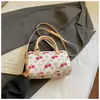 Otoño 2025 Nuevo Estilo Casual Estilo Occidental Bolso de Mano de Alta Calidad Bolso Almohada Bolso Cruzado Casual de Moda para Mujer