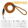 Suministros para Mascotas Correa para Mascotas Correa para Perro Correa Rayada Diagonal Fabricante Personalización Profesional