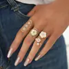 Anillos con un nicho, sensación de alta gama, lujo ligero, empaque de joyería estilo ins, joyería de diseño de concha y flor para mujer, venta al por mayor transfronteriza de verano