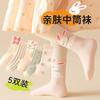 [Estilo Caliente] Calcetines Infantiles de Otoño Transfronterizos Más Fáciles de Combinar de Caña Media Dibujos Animados Niña Princesa Transpirables Niña Bebé Lindos Otoño e Invierno