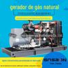Fabricante de unidade de gás de Shandong 30 Kilow Watt Biogás 30Kw Conjunto gerador de gás Conjunto gerador de gás natural