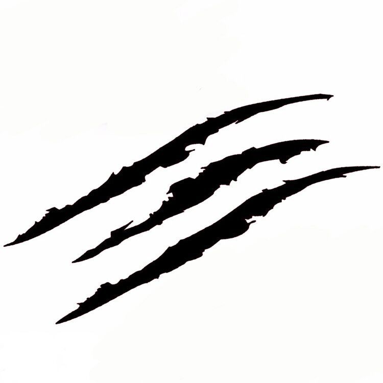 睫毛