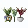 Simulación planta suculenta súper grande tamaño pequeño suculenta bonsái planta verde flor de plástico en maceta micro paisaje con pared vegetal