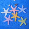 Accesorios de joyería de resina marina con forma de estrella de mar, luminosos, de tamaño grande y pequeño, hechos a mano, con parches, suministro transfronterizo en vivo.