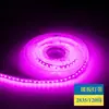 Tira de LED de Bajo Voltaje 2835 12V 24V Luz Ambiental Smd Un Corte Un Corte Autoadhesiva para el Hogar Sala de Estar