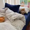 Conjunto de quatro peças estilo Ins com bolinhas rosa em veludo de leite, capa de edredom espessa em fleece de coral para outono e inverno, apresentando um design fofo e feminino, e roupa de cama em fleece dupla face