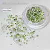 Paquete de material para manicura 2024 primavera y verano nuevo estilo mono mismo estilo hacha Corazón Torcido Cristal K9 diamante flash manicura al por mayor