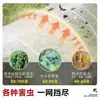 Malla a prueba de insectos transfronteriza, malla para cría agrícola, malla para verduras, malla para langostas, malla para huertos de árboles frutales, malla a prueba de pájaros, malla de nailon, reforzada y engrosada