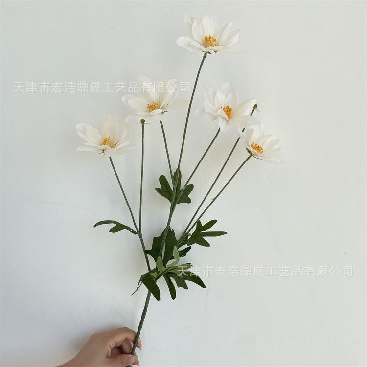 微信图片_202208311711013