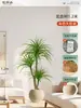 Plantas Verdes Artificiais de Alta Qualidade para Decoração de Sala de Estar, Planta Realista Falsa de Figueira-da-Índia Preta para Decoração de Sala de Transmissão ao Vivo