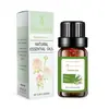 Umidificador de Óleo Essencial de Aromaterapia Quadrado Único Máquina de Aromaterapia Planta de Aromaterapia Interna para Casa Quarto Especial Perfume de Hortelã Solúvel