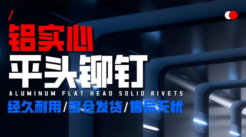 304不锈钢平头实心铆钉_01_01.jpg