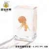 Artesanía Jingling Muestras Biológicas Acuáticas Conchas de Caracol Peces Camarones Cangrejos Regalos de Educación Científica Adornos de Resina Caja Sorpresa
