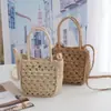 Bolso Tejido de Paja para Mujer 2026 Nuevo Estilo Ins Bolso de Mano Simple Tejido Primavera y Verano Playa de Moda Versátil Bolso de Hombro Cruzado