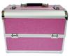 Celebridad de Internet Nuevo Lugar Oro Rosa Grande Dos Capas Cuatro Cajas Caja Cosmética Caja de Manicura Caja de Tatuajes Caja de Almacenamiento