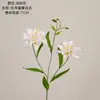 An Xu Lírio de Pétalas Duplas Decoração Buquê de Casamento Parede de Flores de Rosa Flor Artificial INS Transfronteiriço Flor de Simulação Fabricante Casa