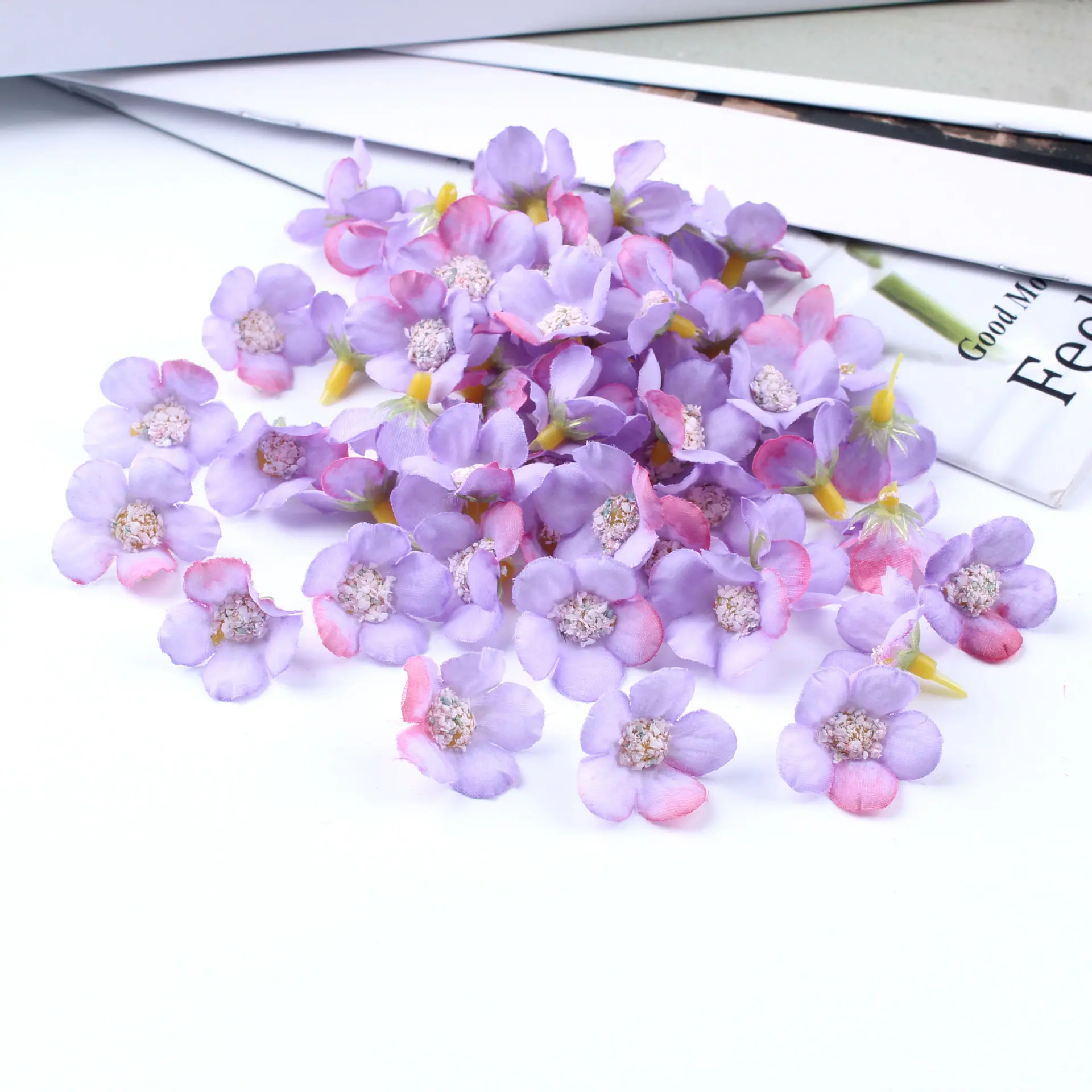 迷你小菊花29