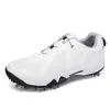 Zapatos de Golf Transpirables y Resistentes al Desgaste para Hombres y Mujeres, de Estilo Casual Transfronterizo, Zapatos Deportivos Elegantes Antideslizantes con Tacos para Parejas