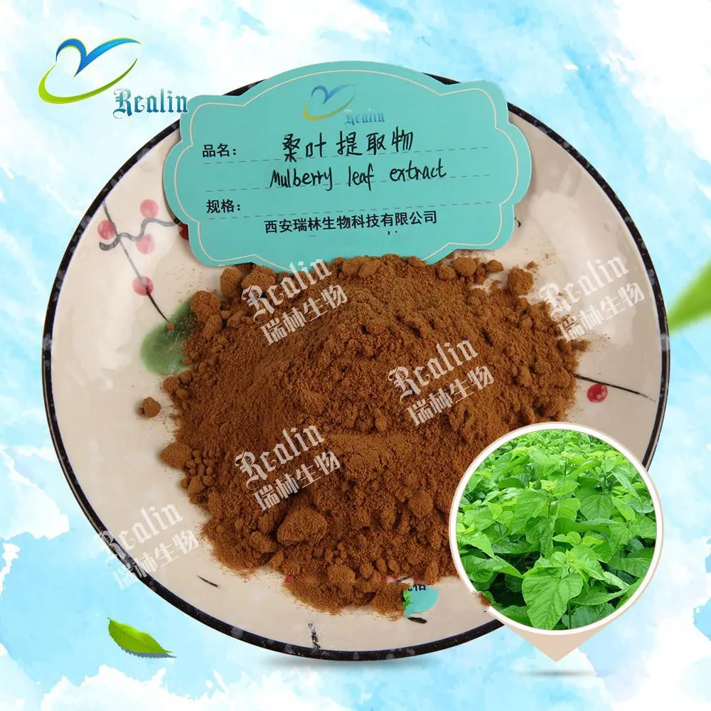 桑叶提取物原料+粉末5