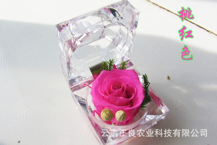 桃红色