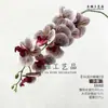 Decoración de Flor de Orquídea Phalaenopsis Artificial de 9 Cabezas, Altamente Realista, Recubierta de Pegamento, Táctil, para Decorar el Hogar, Dormitorio y Mueble de TV