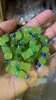 Mini simulación resina Cola Fanta Sprite colgante DIY pendientes collar llavero Accesorios Mayoreo