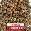 Fabricantes no Local Atacado de Mercadorias Grandes Cacto Guizhou Sem Enxofre de Alta Qualidade Cacto Grande Favoravelmente